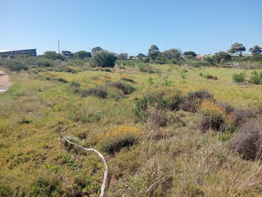 Commercial Property for Sale in Fountains Estate Eastern Cape